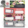 Franklin & Marshall Girls Етикети 45031 